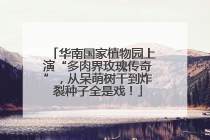 华南国家植物园上演“多肉界玫瑰传奇”，从呆萌树干到炸裂种子全是戏！
