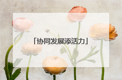 协同发展添活力