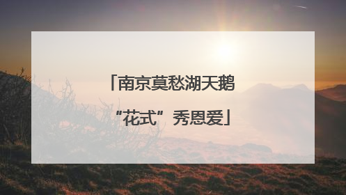 南京莫愁湖天鹅“花式”秀恩爱