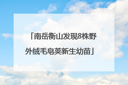 南岳衡山发现8株野外绒毛皂荚新生幼苗