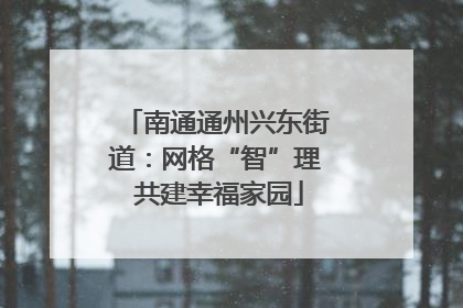 南通通州兴东街道：网格“智”理 共建幸福家园