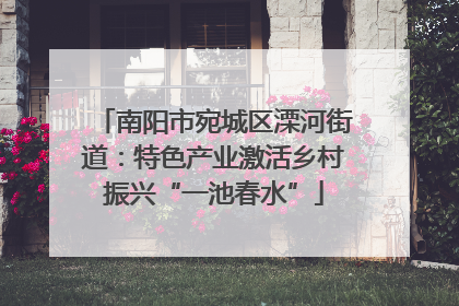 南阳市宛城区溧河街道：特色产业激活乡村振兴“一池春水”