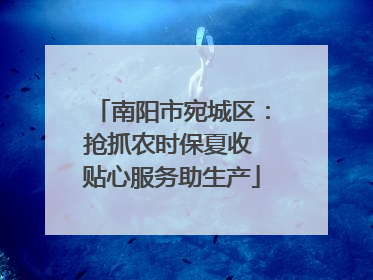 南阳市宛城区：抢抓农时保夏收 贴心服务助生产