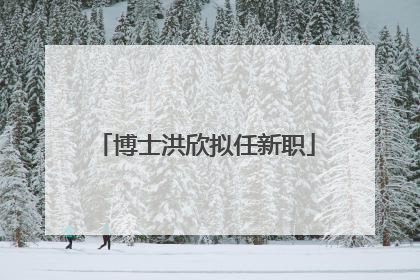 博士洪欣拟任新职