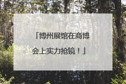 博州展馆在商博会上实力抢镜！