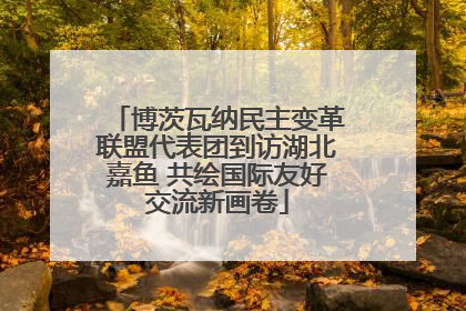 博茨瓦纳民主变革联盟代表团到访湖北嘉鱼 共绘国际友好交流新画卷