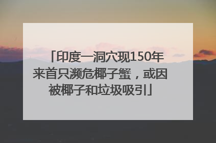 印度一洞穴现150年来首只濒危椰子蟹，或因被椰子和垃圾吸引