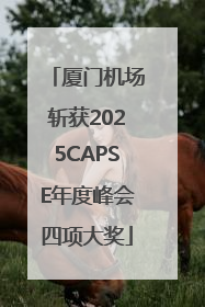 厦门机场斩获2025CAPSE年度峰会四项大奖