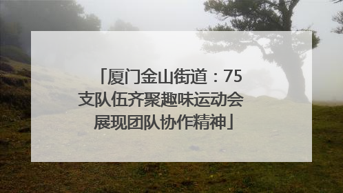 厦门金山街道：75支队伍齐聚趣味运动会 展现团队协作精神
