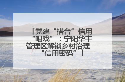 党建“搭台”信用“唱戏”：宁阳华丰管理区解锁乡村治理“信用密码”