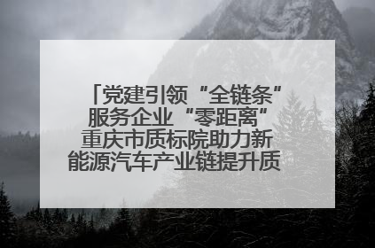 党建引领“全链条” 服务企业“零距离” 重庆市质标院助力新能源汽车产业链提升质量管理水平