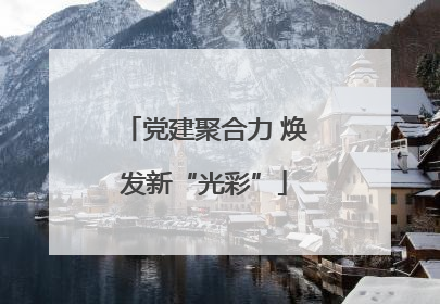党建聚合力 焕发新“光彩”