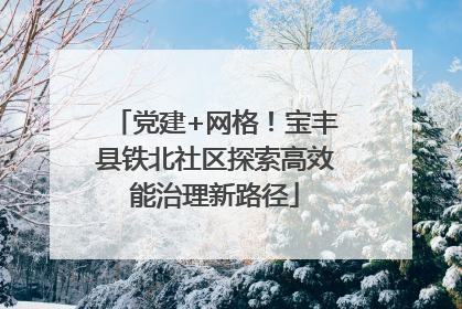 党建+网格！宝丰县铁北社区探索高效能治理新路径