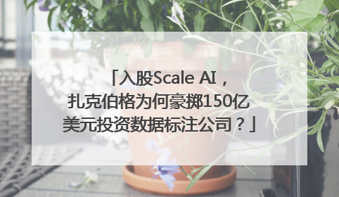 入股Scale AI，扎克伯格为何豪掷150亿美元投资数据标注公司？