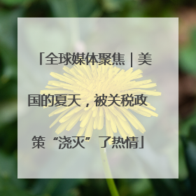 全球媒体聚焦｜美国的夏天，被关税政策“浇灭”了热情