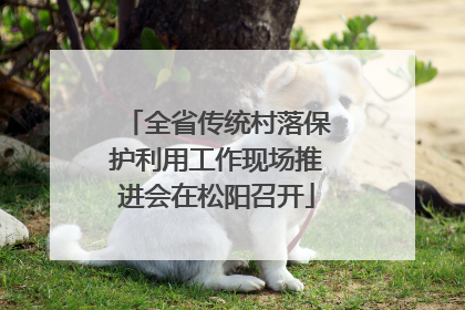 全省传统村落保护利用工作现场推进会在松阳召开