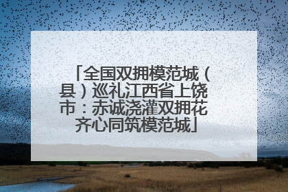 全国双拥模范城（县）巡礼江西省上饶市：赤诚浇灌双拥花 齐心同筑模范城