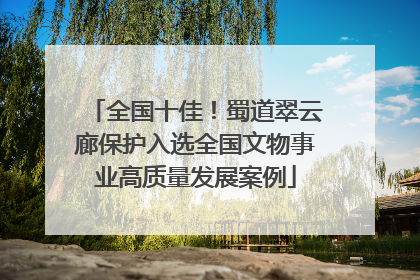 全国十佳！蜀道翠云廊保护入选全国文物事业高质量发展案例