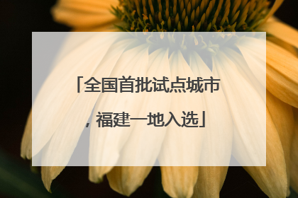 全国首批试点城市，福建一地入选