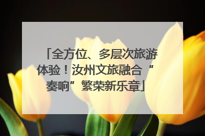 全方位、多层次旅游体验！汝州文旅融合“奏响”繁荣新乐章