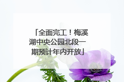 全面完工！梅溪湖中央公园北段一期预计年内开放