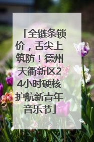 全链条锁价，舌尖上筑防！德州天衢新区24小时硬核护航新青年音乐节