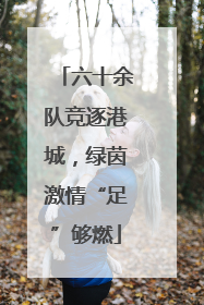 六十余队竞逐港城，绿茵激情“足”够燃