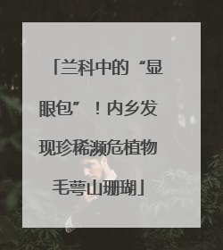 兰科中的“显眼包”！内乡发现珍稀濒危植物毛萼山珊瑚