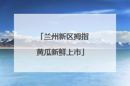 兰州新区拇指黄瓜新鲜上市