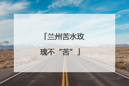 兰州苦水玫瑰不“苦”