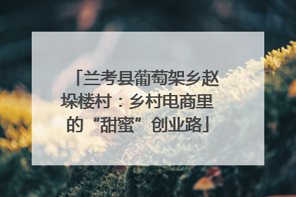 兰考县葡萄架乡赵垛楼村：乡村电商里的“甜蜜”创业路