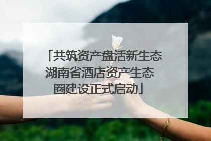 共筑资产盘活新生态 湖南省酒店资产生态圈建设正式启动
