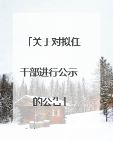 关于对拟任干部进行公示的公告