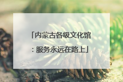 内蒙古各级文化馆：服务永远在路上