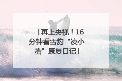 再上央视！16分钟看雪豹“凌小蛰”康复日记