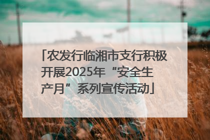 农发行临湘市支行积极开展2025年“安全生产月”系列宣传活动