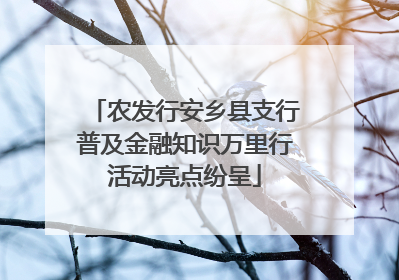 农发行安乡县支行普及金融知识万里行活动亮点纷呈