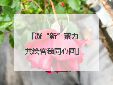 凝“新”聚力 共绘客我同心圆