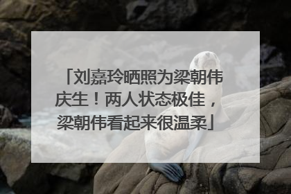 刘嘉玲晒照为梁朝伟庆生！两人状态极佳，梁朝伟看起来很温柔