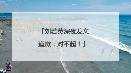 刘若英深夜发文道歉：对不起！