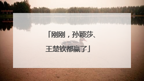 刚刚，孙颖莎、王楚钦都赢了
