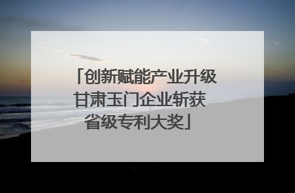 创新赋能产业升级 甘肃玉门企业斩获省级专利大奖