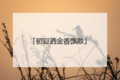 初夏洒金香飘散