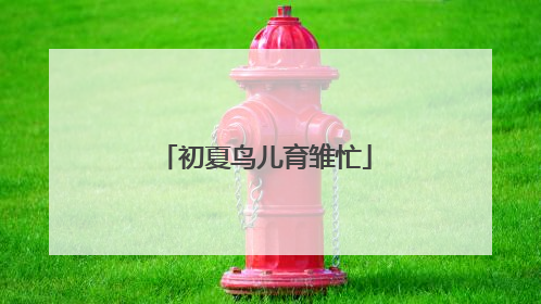 初夏鸟儿育雏忙