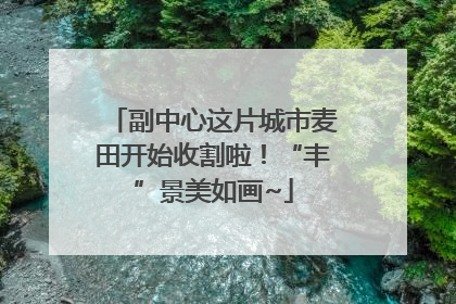 副中心这片城市麦田开始收割啦！“丰”景美如画~