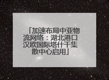 加速布局中亚物流网络：湖北港口汉欧国际塔什干集散中心启用