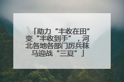 助力“丰收在田”变“丰收到手”，河北各地各部门厉兵秣马迎战“三夏”