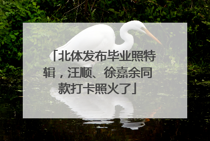 北体发布毕业照特辑，汪顺、徐嘉余同款打卡照火了