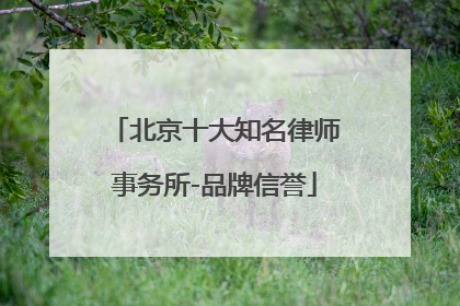 北京十大知名律师事务所-品牌信誉