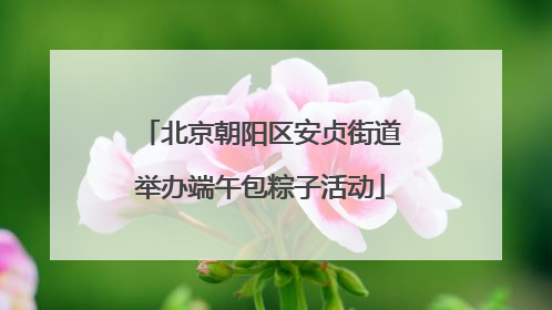 北京朝阳区安贞街道举办端午包粽子活动